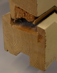 Die natuerliche Dauerhaftigkeit von Splint- und Kernholz ist gut zu erkennen. Schaden insbesondere im Spintholz.